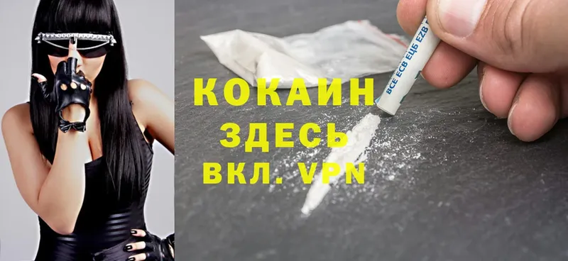 Cocaine Боливия  купить закладку  Заводоуковск 